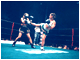 MILANO, Dicembre 2001 - Bianchini vs Hughton - Titolo mondiale WAKO 